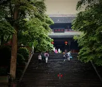 关于洛伏督龙岗登县，霄牧岗红驳金的信息