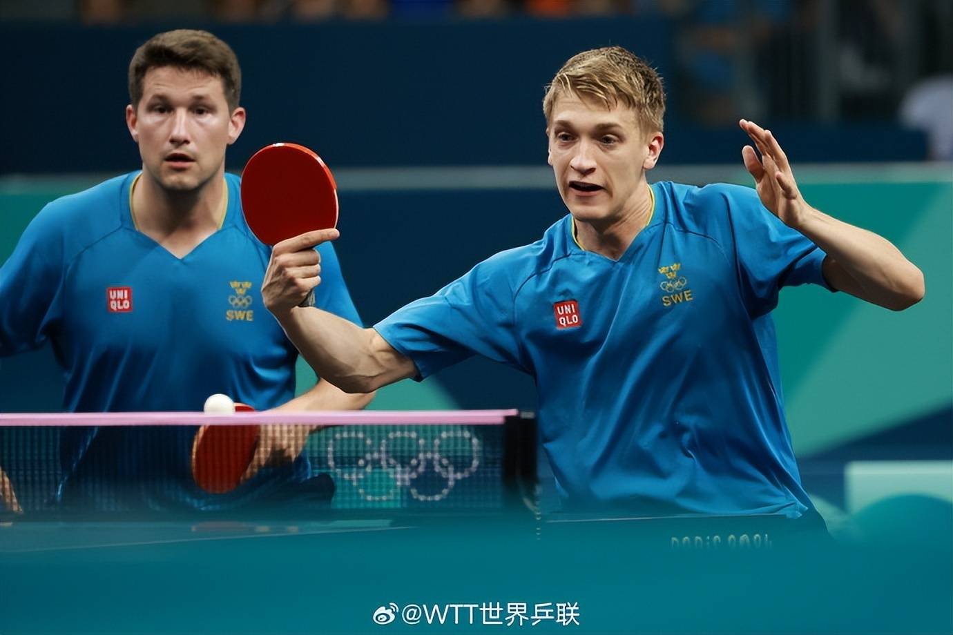 法国乒乓球队横扫英国乒乓球队，波尔关键制胜的简单介绍