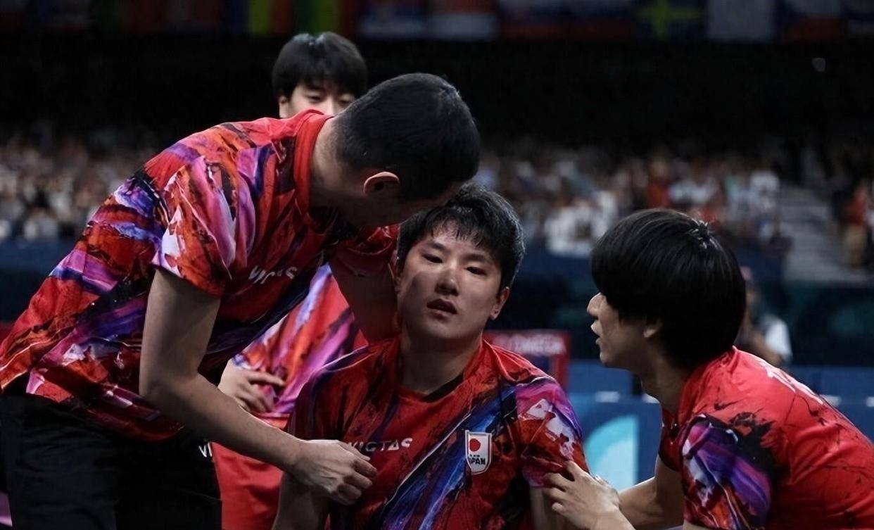 关于比利时乒乓球队强势中国乒乓球队，张本智和送出助攻的信息