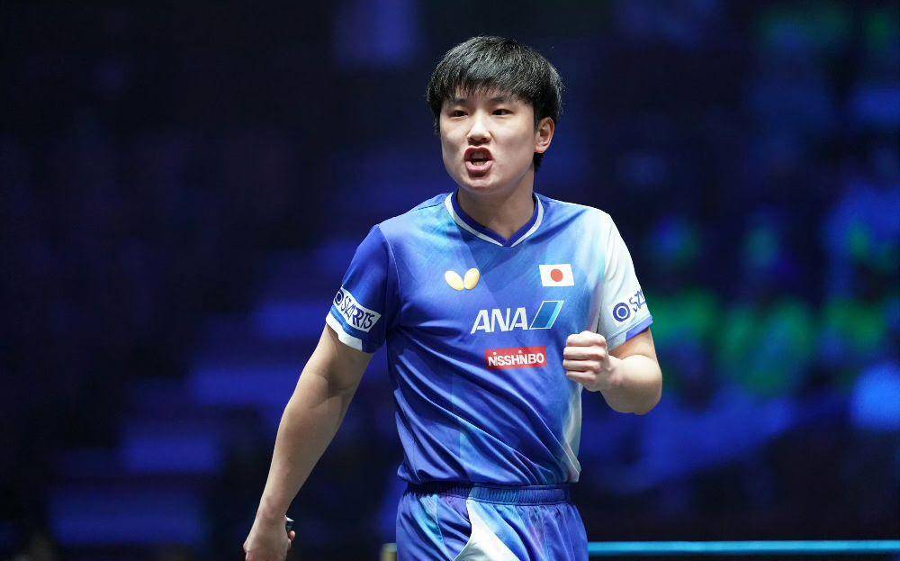 关于比利时乒乓球队强势中国乒乓球队，张本智和送出助攻的信息