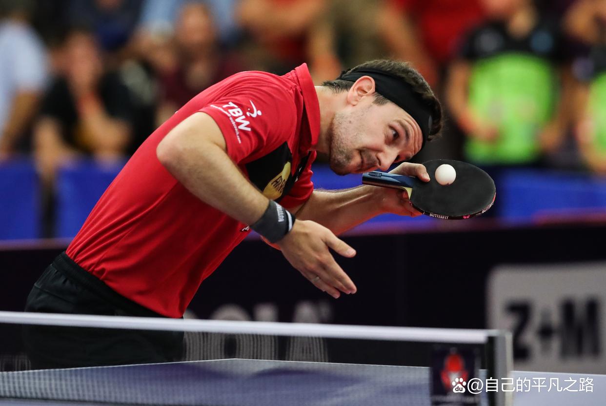 日本乒乓球队横扫奥地利乒乓球队，波尔关键制胜的简单介绍