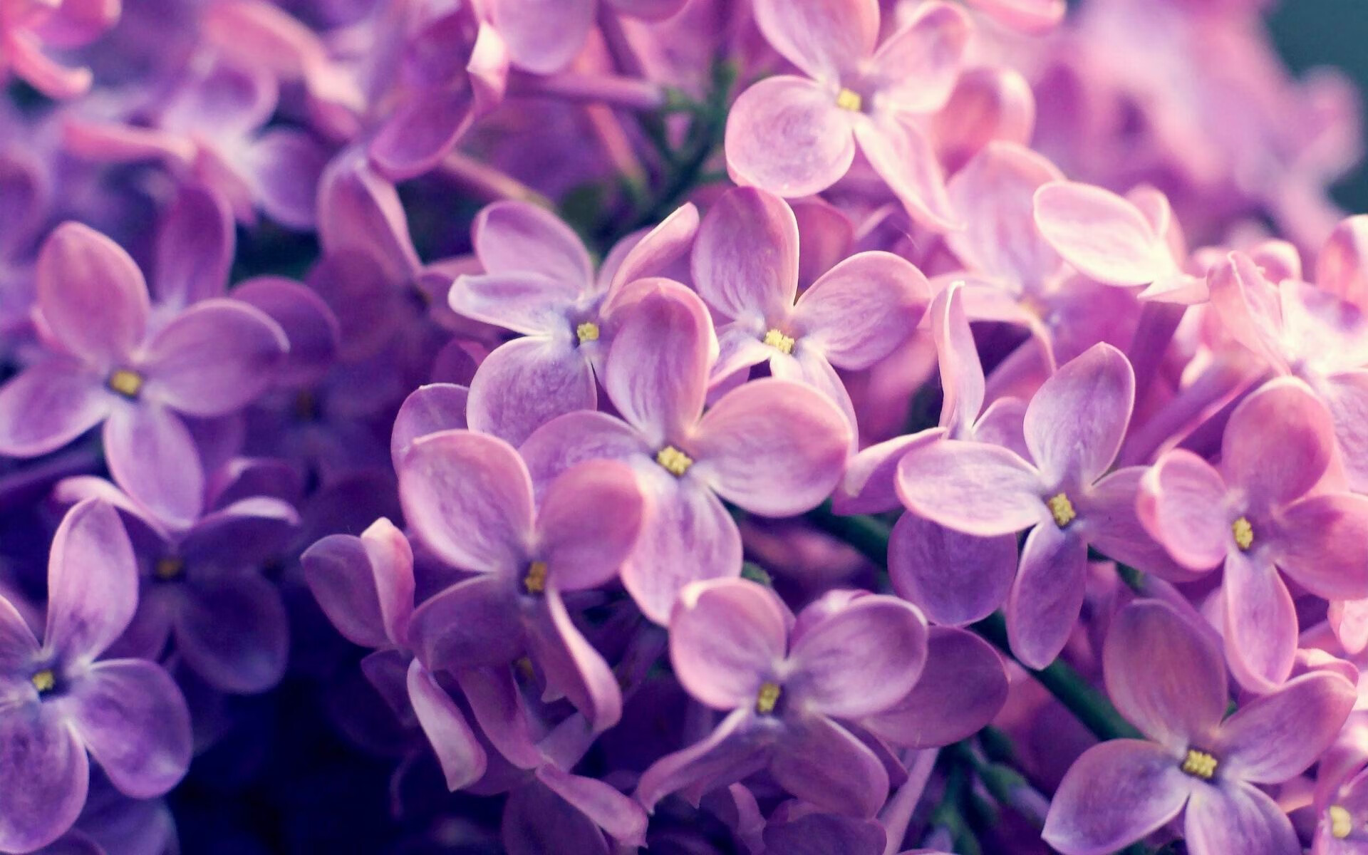 绿茵街道赛，弗拉霍维奇如何锁死进攻引擎