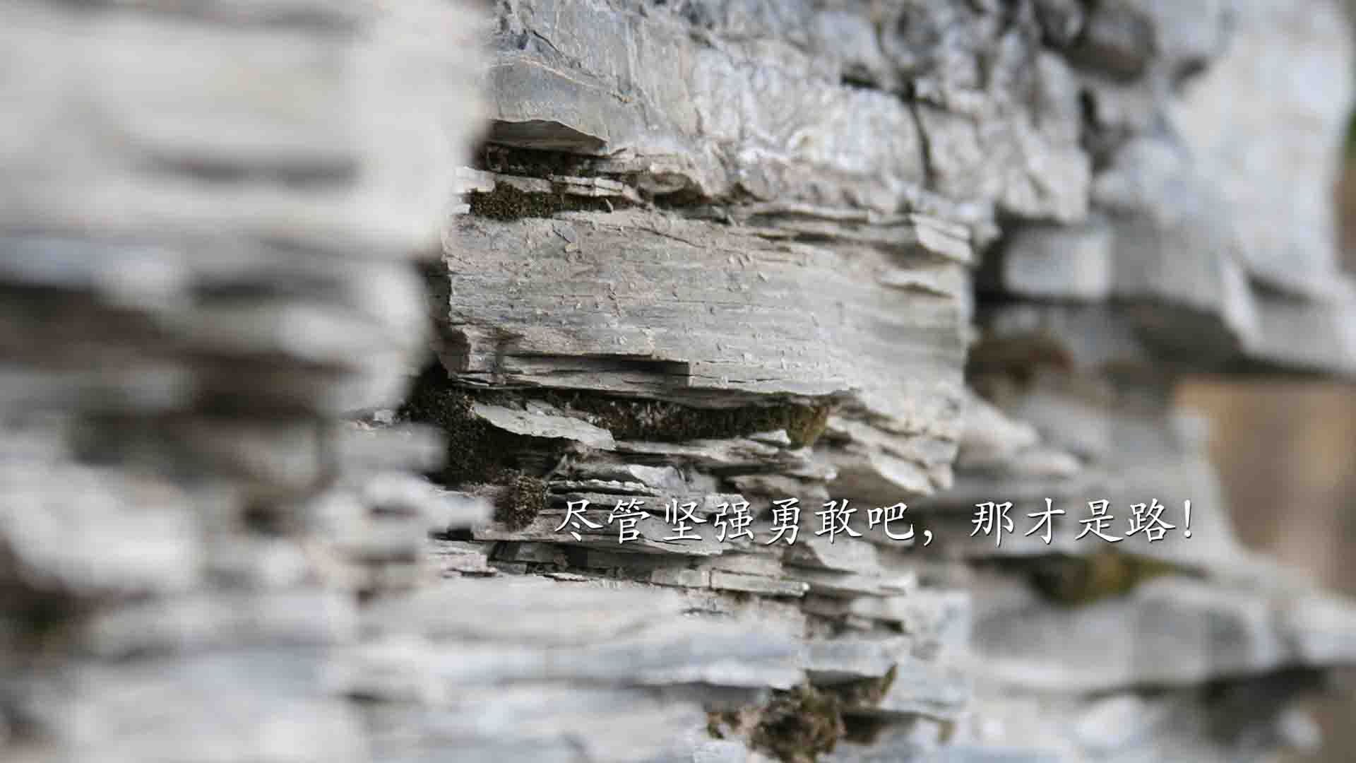 阿什拉夫连线非洲之魂，加纳铁骑碾过葡萄牙幻梦