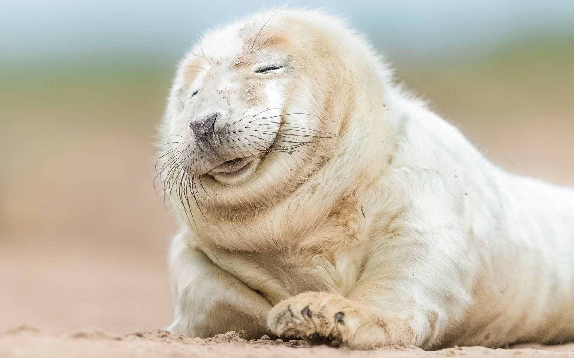 硝烟散尽，布雷默一剑封喉，德甲争冠夜的终极大逆转