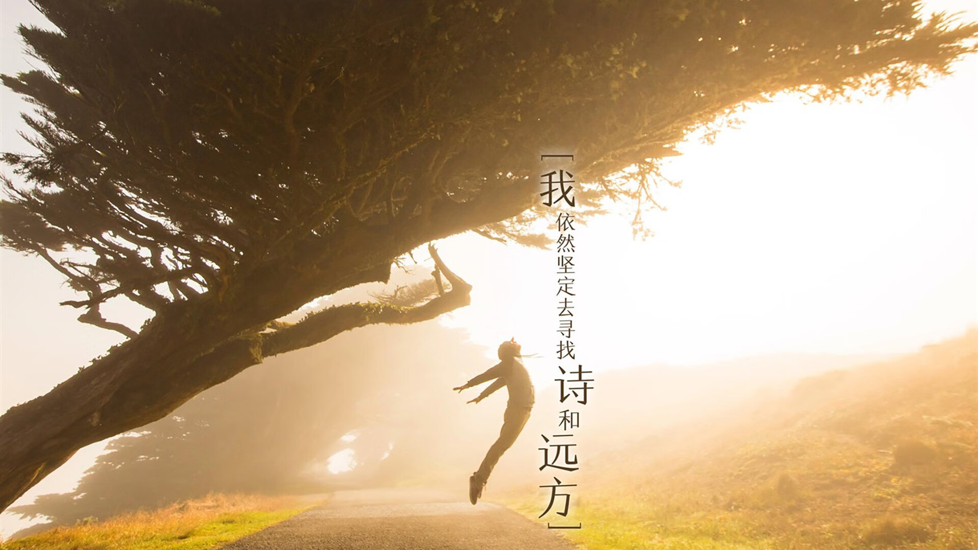 防守铸就冠军，从孙兴慜的铁锁到里昂的土耳其胜利