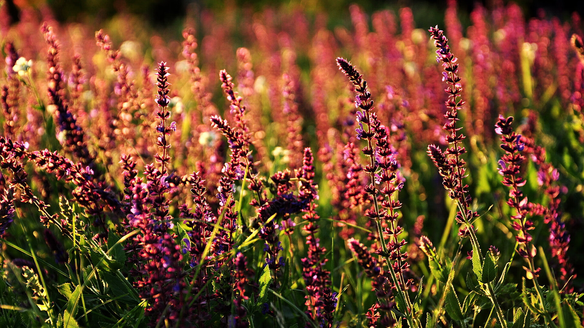 芬兰铁幕下的终局之王,卡塞米罗如何在战术绞杀中接管欧冠决赛